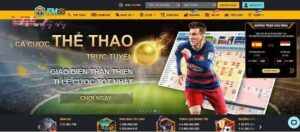 ca-cuoc-the-thao-va-ca-cuoc-truc-tuyen