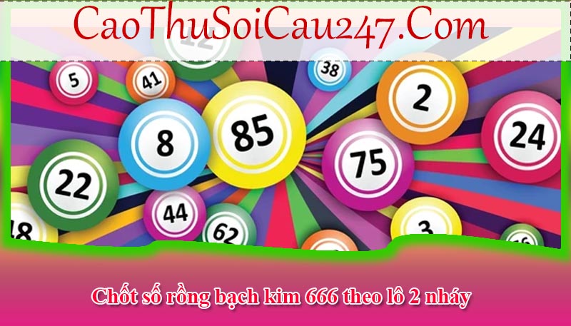 soi-cau-6666-rong-bach-kim